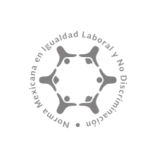 logo igualdad laboral
