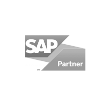 sap partner